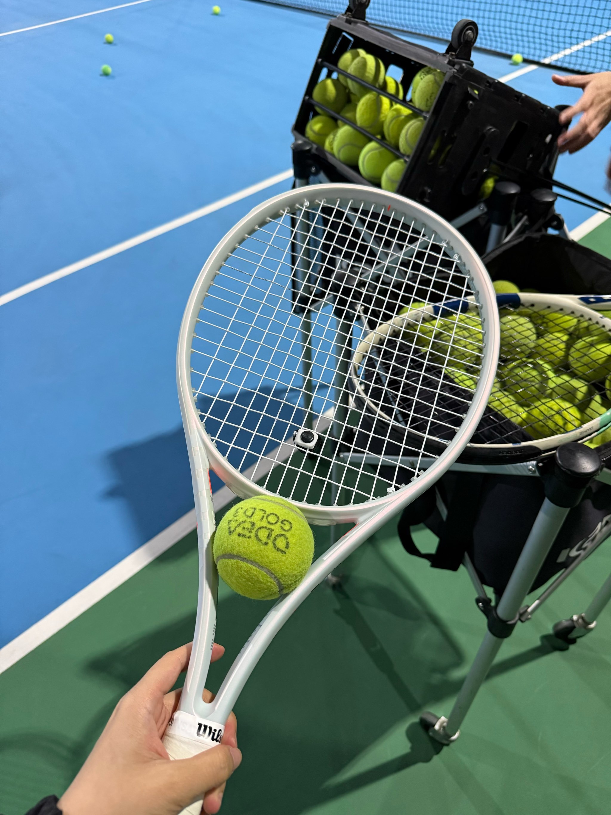 还对整个体 还对整个体