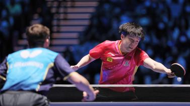 个体表现同 个体表现同