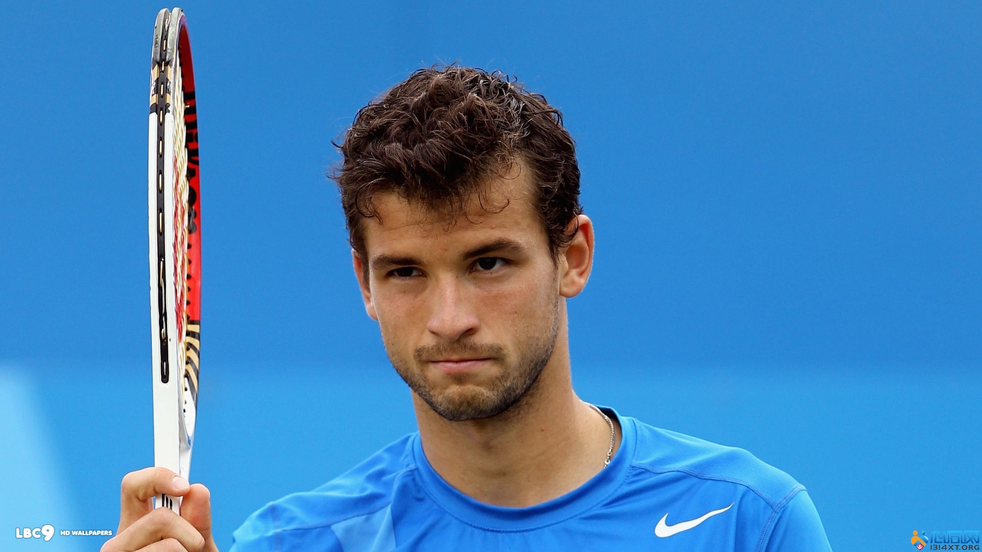 评分结构的 评分结构的